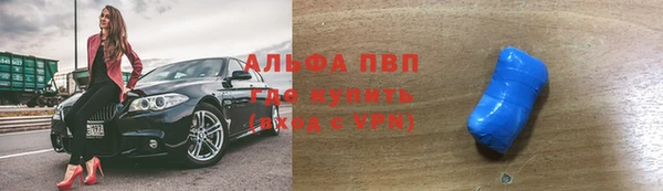 стафф Алзамай