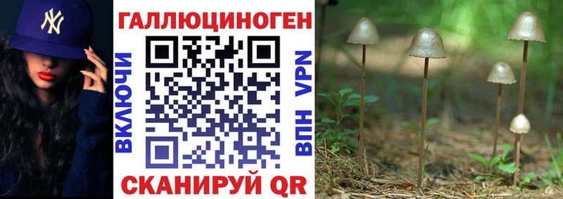 Псилоцибиновые грибы Psilocybine cubensis  где купить   Спасск-Рязанский 